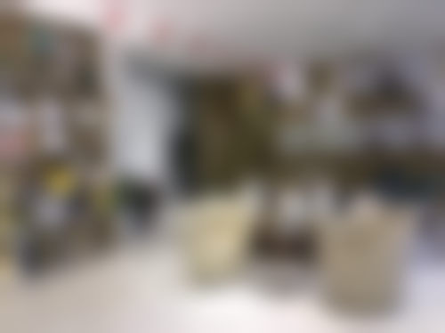 罗志强的学术积累与从业资历