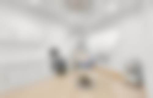 罗丹阳的学术积累与从业资历