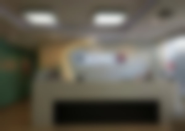 曹美艳的学术积累与从业资历