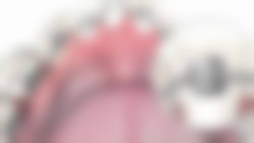 龚异英的学术积累与从业资历