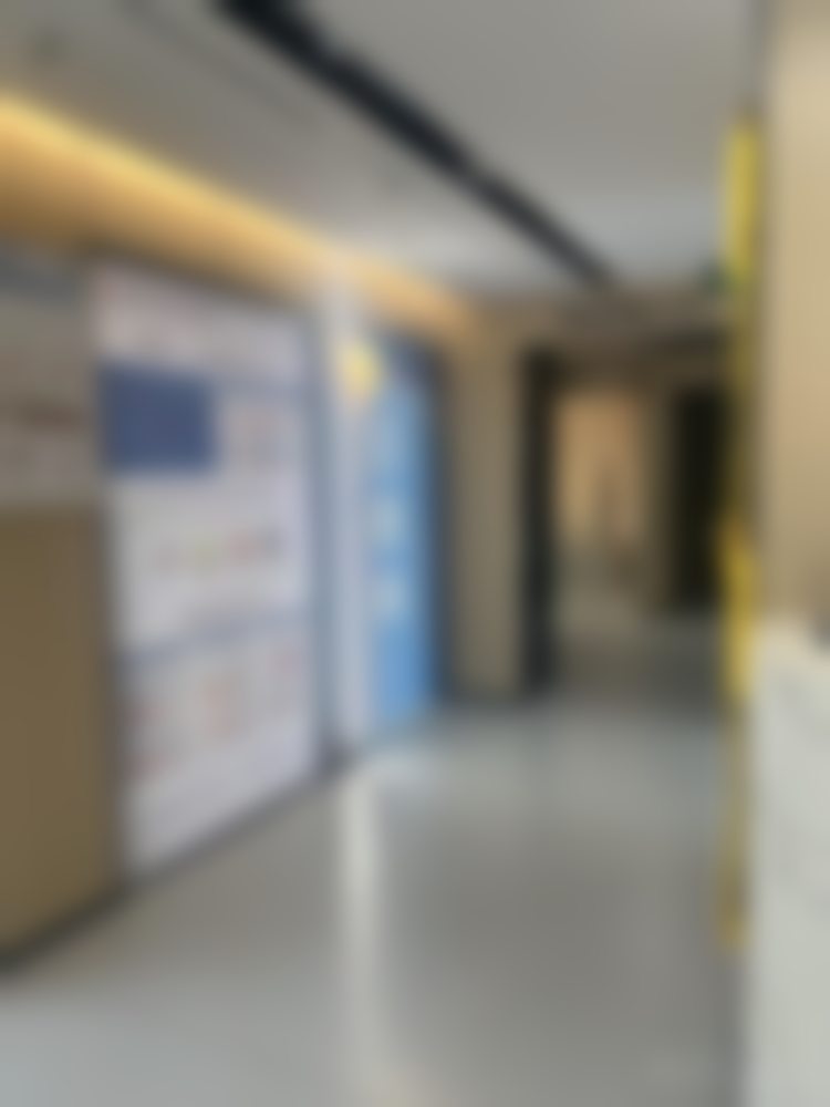 袁梅的学术积累与从业资历