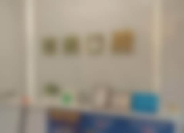 包头昆区博美口腔门诊部来院指引