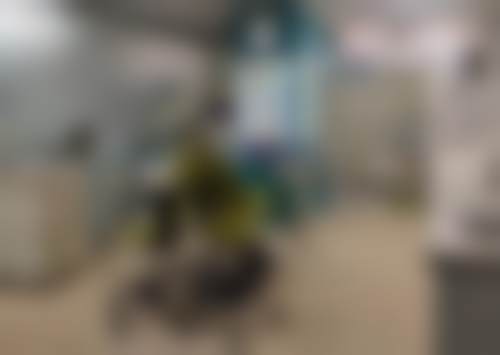 为什么要选择成都新桥口腔医院(玉双店)?