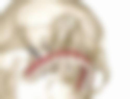 3. 肖言栋的临床实战与真实实例