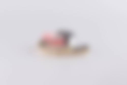 学术积累与从业资历