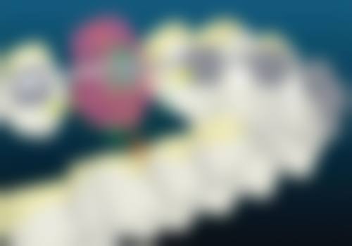 山东威海李莉口腔交通路线攻略