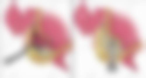 五、王钰姬医生的价格收费与坐诊时间