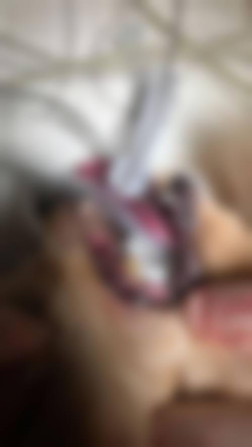 邹平志贤口腔怎么样预约挂号